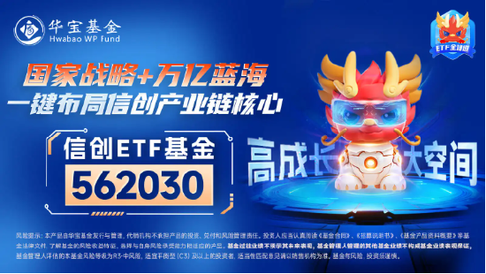 直线拉升！海光信息涨超2%，重仓软件开发行业的信创ETF基金（562030）盘中劲涨1%